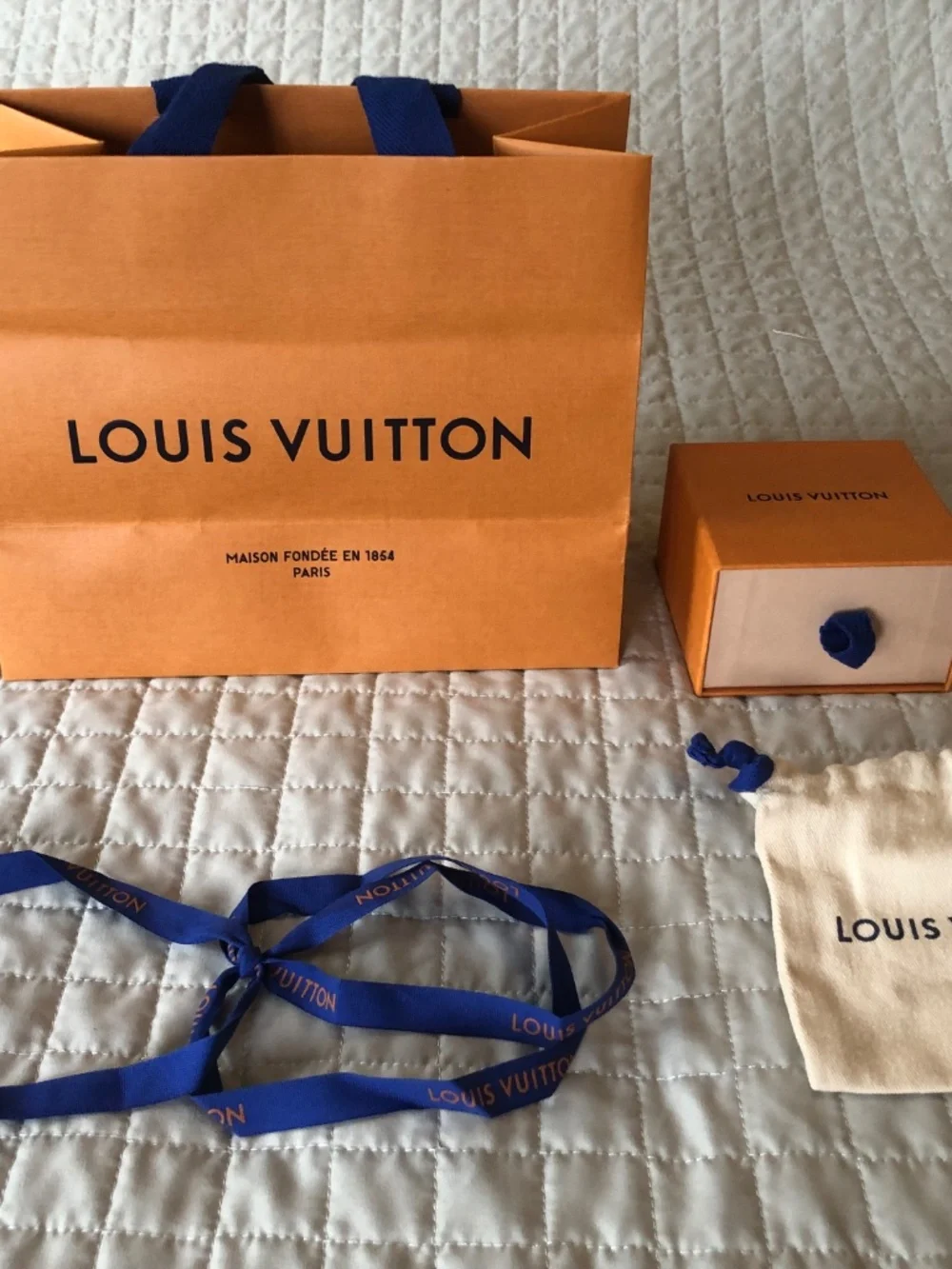 Louis Vuitton authentic louis